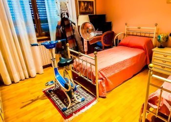 Villa Via Umberto Terracini, Parma (neighborhood Montebello) - photo 15