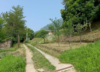 Casa indipendente Borgata Meyra Gucciardi, Frassino - foto 15