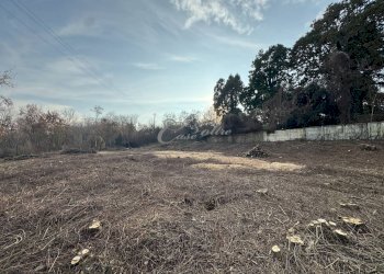 Foto 4 - Terreno agricolo Via Ersilia Borgazzi, Lentate sul Seveso - foto 4