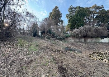 Foto 5 - Terreno agricolo Via Ersilia Borgazzi, Lentate sul Seveso - foto 5