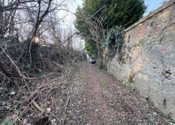 Foto 7 - Terreno agricolo Via Ersilia Borgazzi, Lentate sul Seveso - foto 7