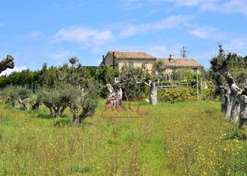 Foto 5 - Rustico Frazione Montefiore, Recanati - foto 5