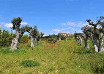 Foto 40 - Rustico Frazione Montefiore, Recanati - foto 40