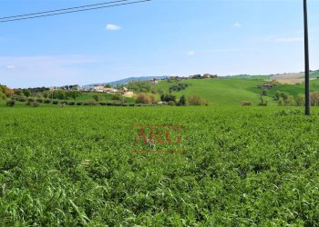Foto 42 - Rustico Frazione Montefiore, Recanati - foto 42