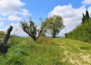 Foto 43 - Rustico Frazione Montefiore, Recanati - foto 43
