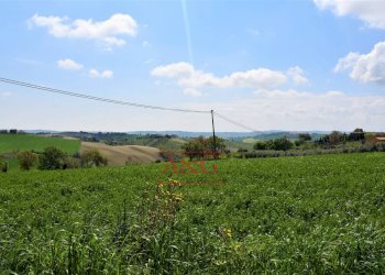 Foto 44 - Rustico Frazione Montefiore, Recanati - foto 44
