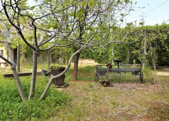 Foto 55 - Rustico Frazione Montefiore, Recanati - foto 55