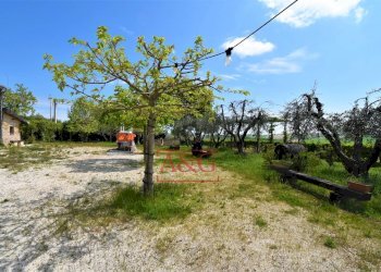 Foto 63 - Rustico Frazione Montefiore, Recanati - foto 63