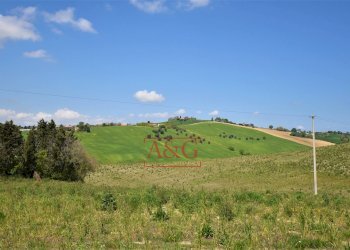 Foto 74 - Rustico Frazione Montefiore, Recanati - foto 74