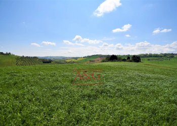 Foto 75 - Rustico Frazione Montefiore, Recanati - foto 75