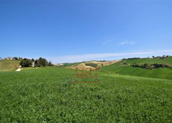 Foto 76 - Rustico Frazione Montefiore, Recanati - foto 76