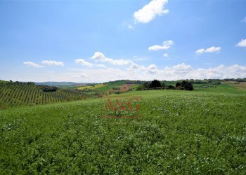 Foto 77 - Rustico Frazione Montefiore, Recanati - foto 77