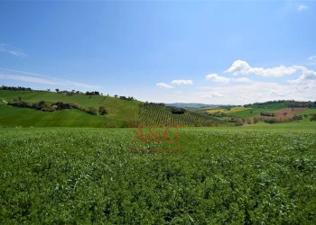 Foto 78 - Rustico Frazione Montefiore, Recanati - foto 78