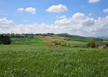 Foto 79 - Rustico Frazione Montefiore, Recanati - foto 79