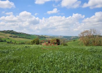 Foto 81 - Rustico Frazione Montefiore, Recanati - foto 81