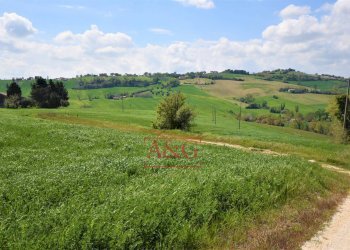 Foto 82 - Rustico Frazione Montefiore, Recanati - foto 82