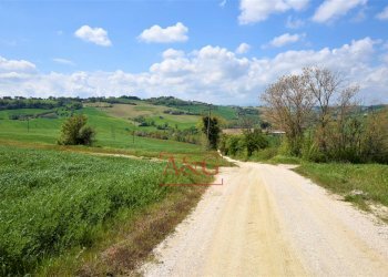 Foto 83 - Rustico Frazione Montefiore, Recanati - foto 83