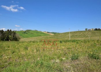 Foto 84 - Rustico Frazione Montefiore, Recanati - foto 84