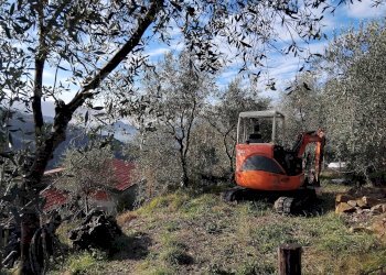 Foto 5 - Villa Perinaldo - foto 5