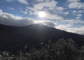 Foto 9 - Villa Perinaldo - foto 9