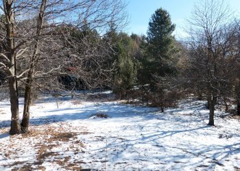 Vista dell\'acqua - Baita Via Madonna Dellenevi, Nicolosi - foto 37