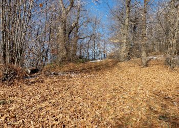 Giardino - Baita Via Madonna Dellenevi, Nicolosi - foto 41