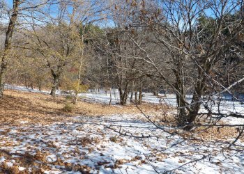Vista delle montagne - Baita Via Madonna Dellenevi, Nicolosi - foto 50