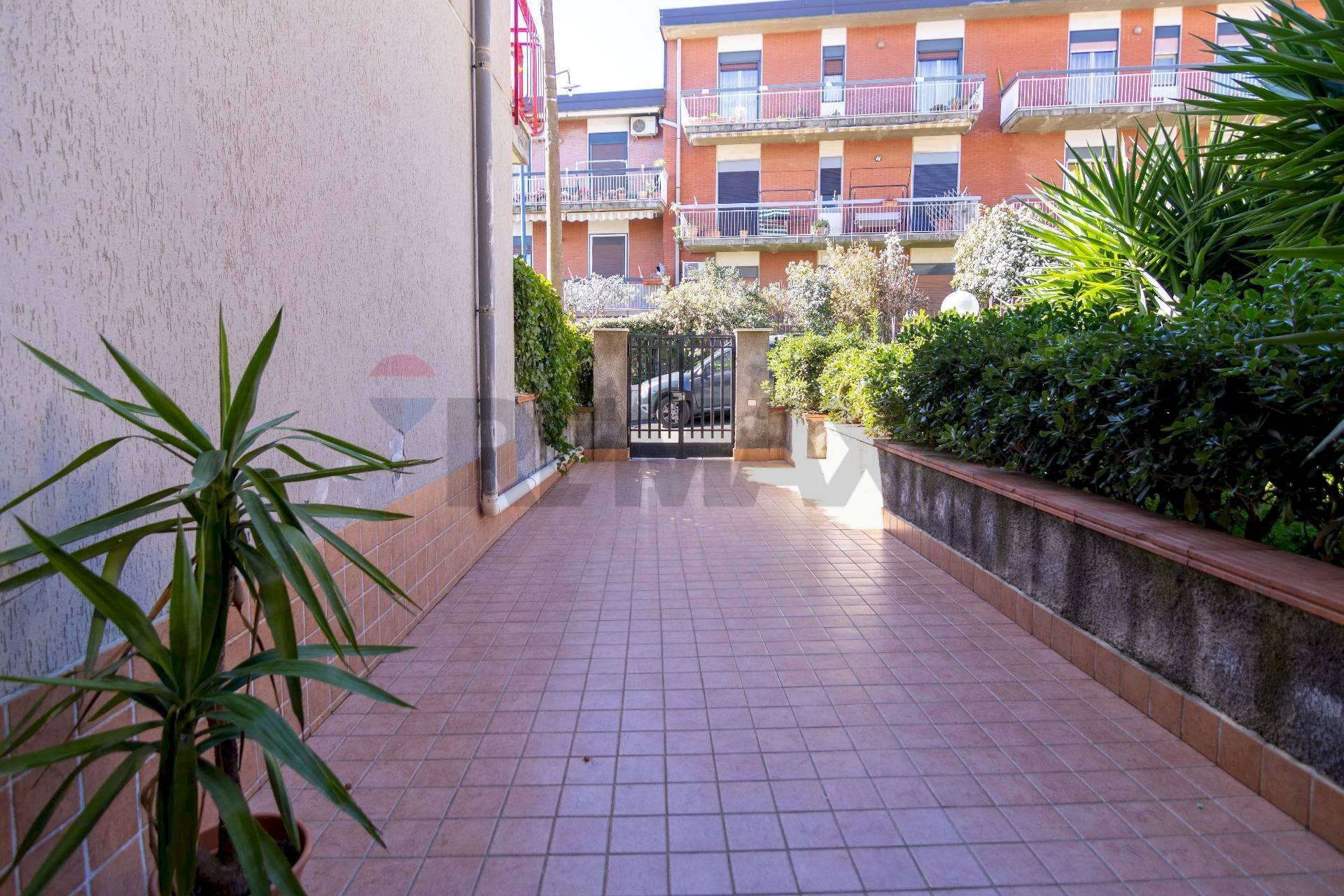 Terrazza - Trilocale Pedara - foto 2