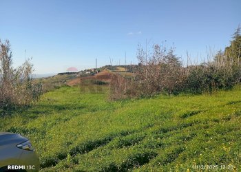 Giardino - Agricultural land Via Ottavio Penna
90, Caltagirone - photo 3
