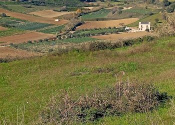 Vista delle montagne - Agricultural land Via Ottavio Penna
90, Caltagirone - photo 5