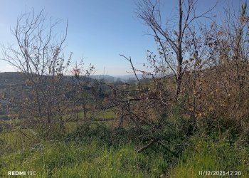 Vista delle montagne - Agricultural land Via Ottavio Penna
90, Caltagirone - photo 13