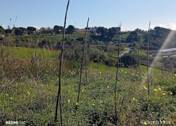 Vista delle montagne - Agricultural land Via Ottavio Penna
90, Caltagirone - photo 14