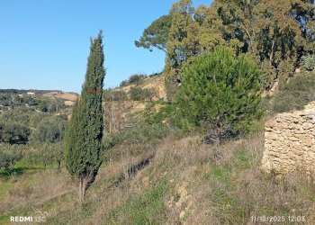 Vista delle montagne - Agricultural land Via Ottavio Penna
90, Caltagirone - photo 16