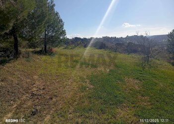 Vista delle montagne - Agricultural land Via Ottavio Penna
90, Caltagirone - photo 17