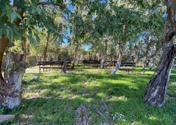 Giardino - Villa contrada s.Marco/serra, San Pier Niceto - foto 13