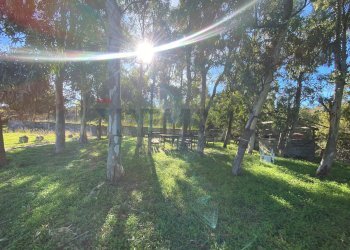 Giardino - Villa contrada s.Marco/serra, San Pier Niceto - foto 18