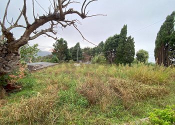 Giardino - Villa contrada san marco, San Pier Niceto - foto 25