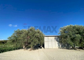 Non correlato - Monolocale contrada pintarica, Condrò - foto 3