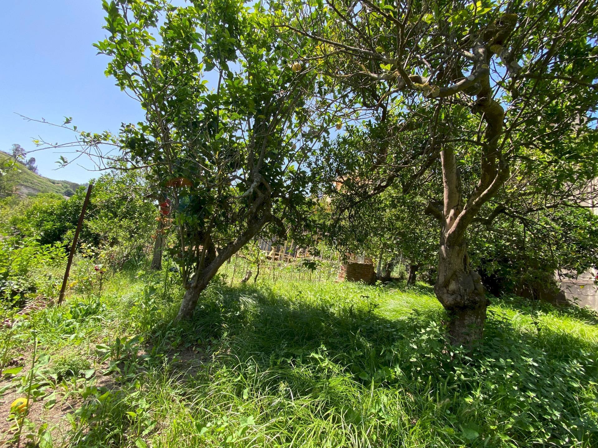 Giardino - Independent house via roma, Condrò - photo 3