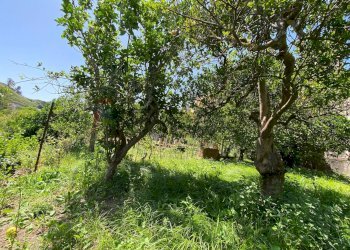 Giardino - Casa indipendente via roma, Condrò - foto 3
