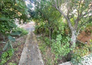 Giardino - Villa via cap amendolia, Pace del Mela - foto 7