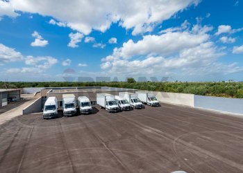 Terrazza - Capannone Modugno - foto 2