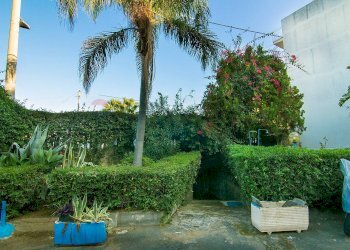 Giardino - Bilocale Via Livorno
 
51/A, Aci Castello - foto 3