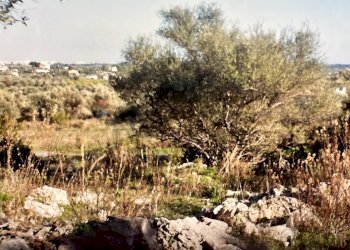 Vista delle montagne - Agricultural land contrada usuria, Siracusa - photo 5