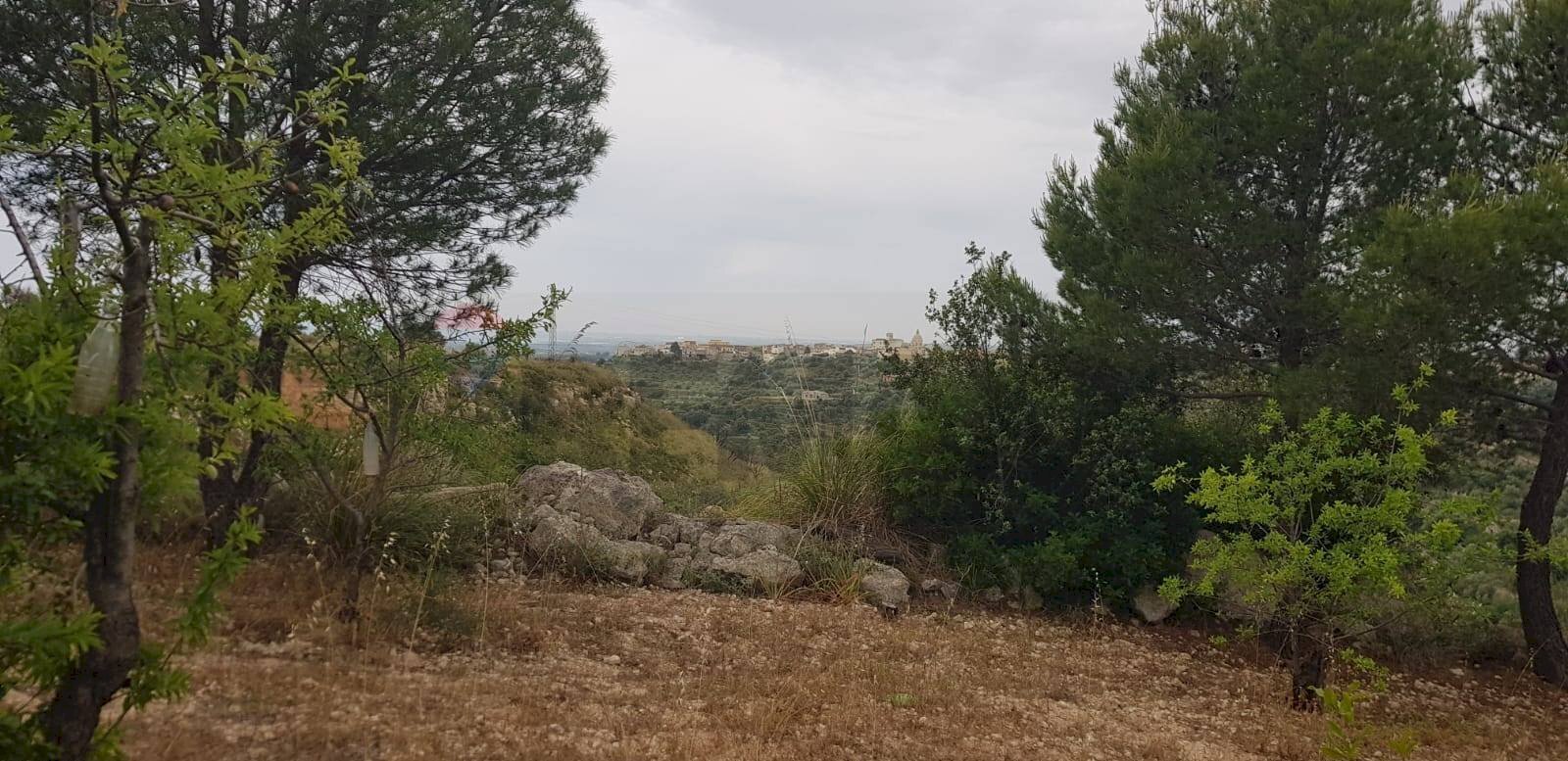 Giardino - Agricultural land Contrada San Giovanni Meti, Noto - photo 1