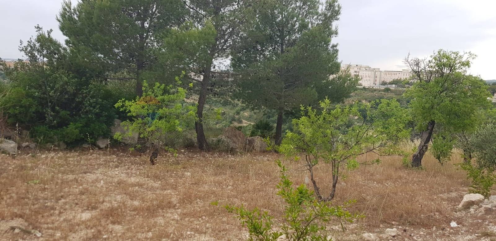 Giardino - Agricultural land Contrada San Giovanni Meti, Noto - photo 2