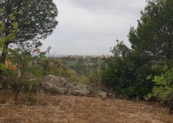 Giardino - Terreno agricolo Contrada San Giovanni Meti, Noto - foto 1