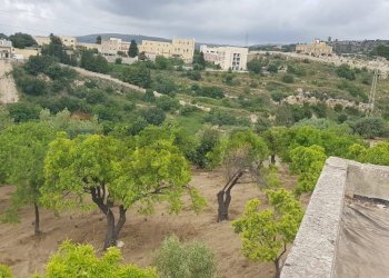 Edificio all\'aperto - Terreno agricolo Contrada San Giovanni Meti, Noto - foto 9