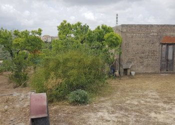 Giardino - Terreno agricolo Contrada San Giovanni Meti, Noto - foto 11