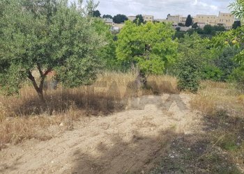 Giardino - Terreno agricolo Contrada San Giovanni Meti, Noto - foto 12
